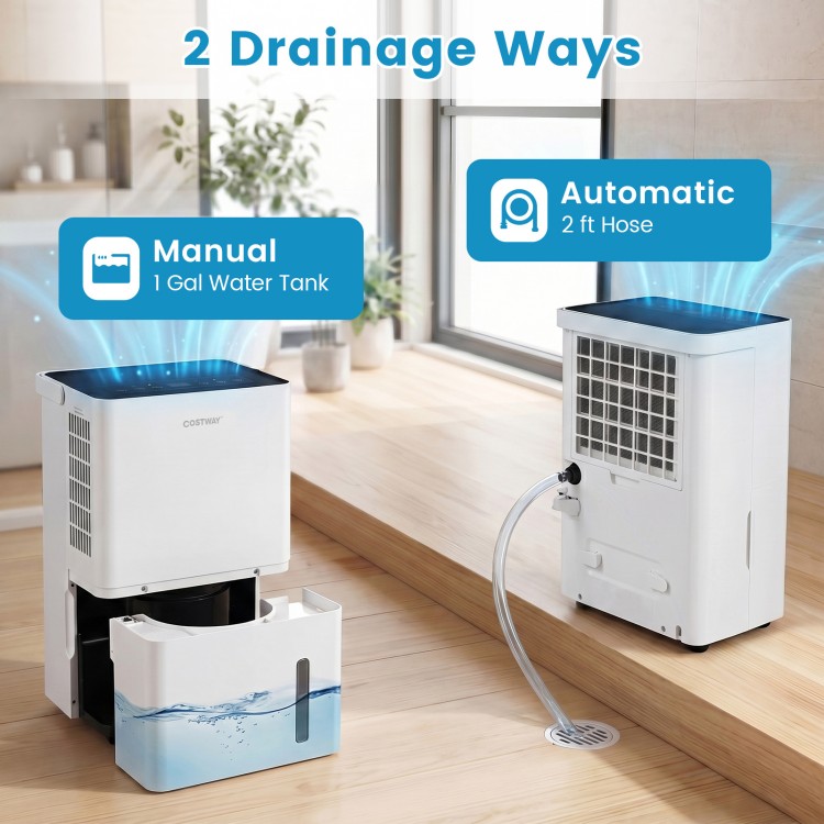 Dehumidifier with 80 pint capacity features manual and automatic drainage options, ideal for home use in various rooms.