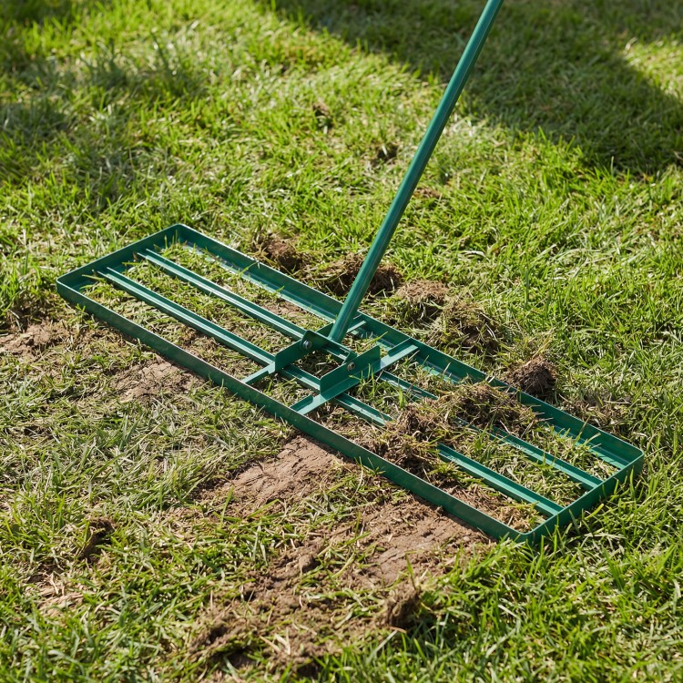 Lawn leveling rake with ergonomic handle, 42 x 10 inches, ideal for even lawn surfaces in gardens and backyards.
