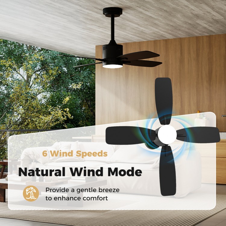 42-inch black ceiling fan with light, featuring 6 speeds and natural wind mode for enhanced comfort in indoor spaces.