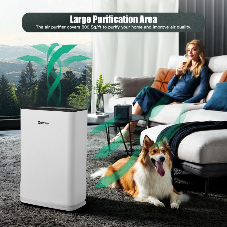 Air purifier with True HEPA and carbon filters, covering 800 sq. ft., ideal for home and office use, shown in a living.