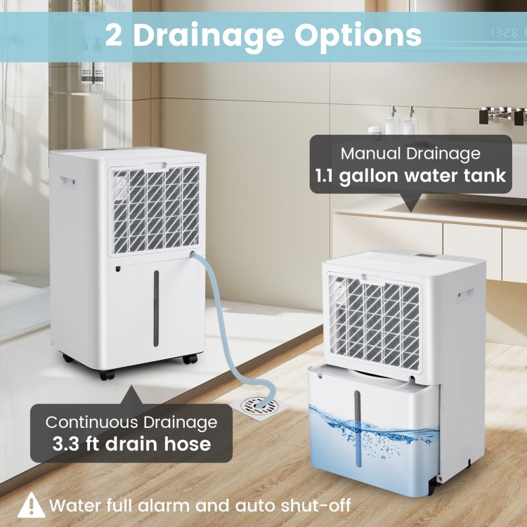 Dehumidifier with 1.1 gallon tank and drain hose options, designed for efficient moisture removal in large rooms.