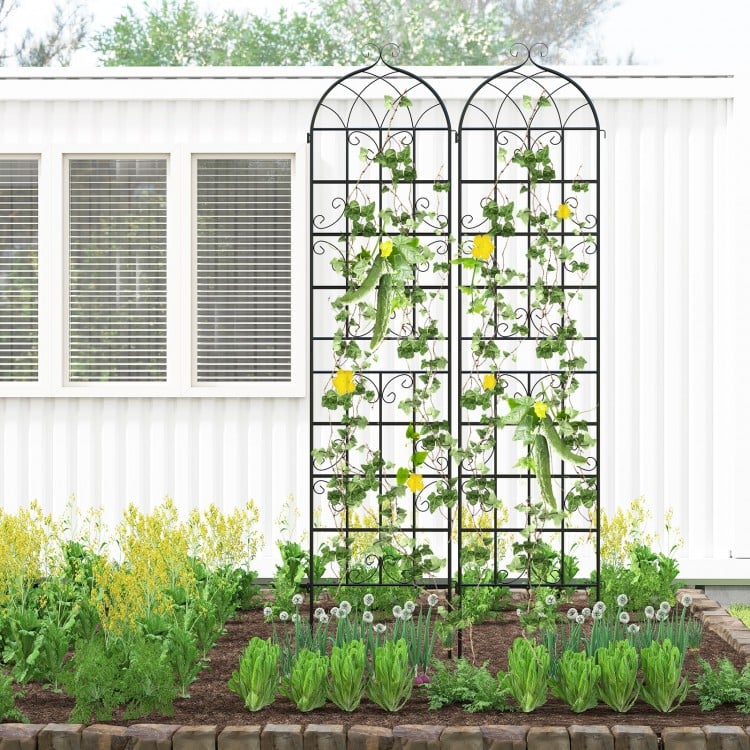 Metal garden trellis set featuring a vine design, ideal for supporting climbing plants in outdoor gardens.