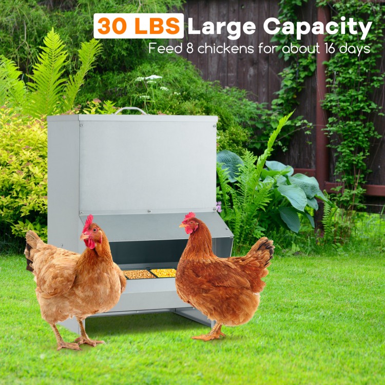 Wall mount galvanized chicken feeder with 50 lbs capacity, designed to feed 8 chickens for 16 days, suitable for.