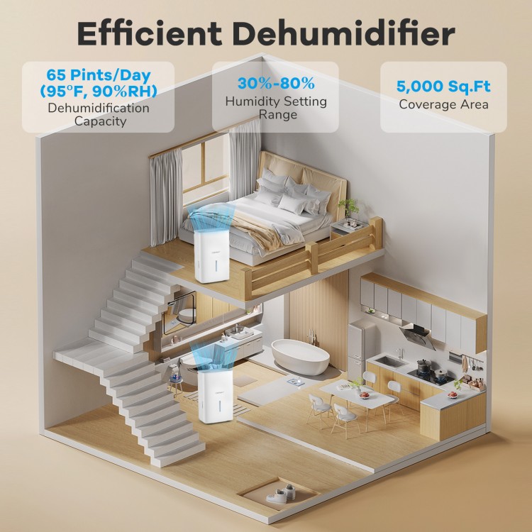 65 pints dehumidifier in a home setting, featuring LED display, 24-hour timer, and large water tank for efficient.
