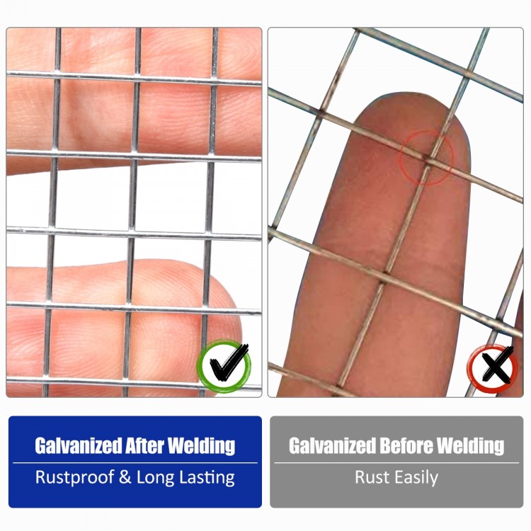 Close-up of galvanized chicken wire mesh showing rust resistance, made of 23-gauge steel for garden protection.