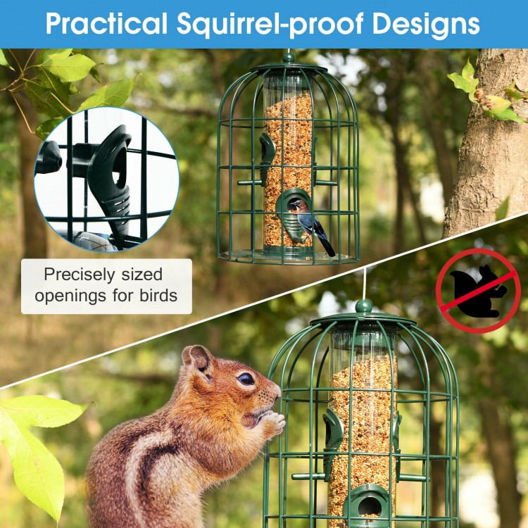 Squirrel-proof caged tube wild bird feeder with precise openings, designed for multiple birds to feed outdoors.