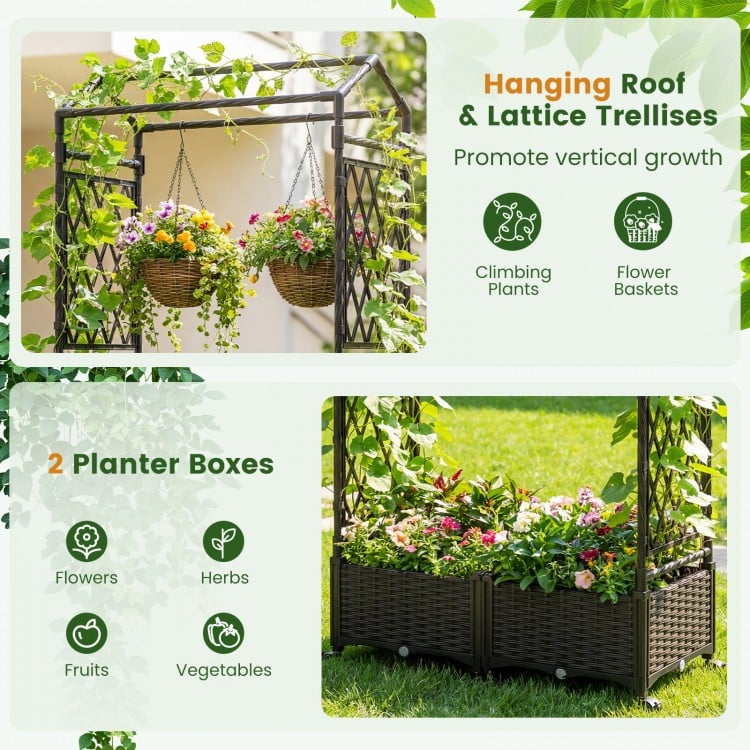 Self-watering planter boxes with lattice trellis and roof, designed for vibrant growth of flowers and climbing plants.