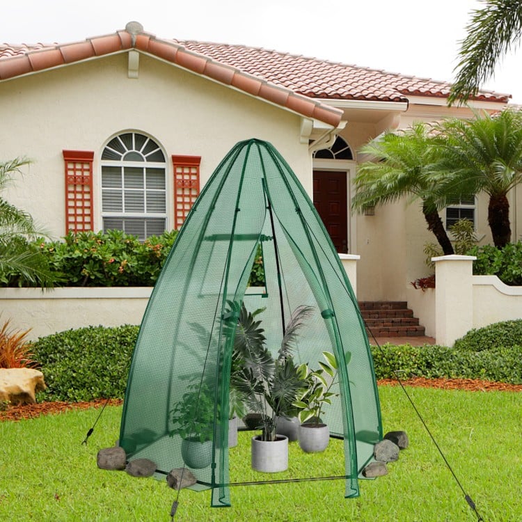 Portable mini greenhouse with waterproof PE cover, high-strength metal frame, and roll-up mesh window for ventilation.