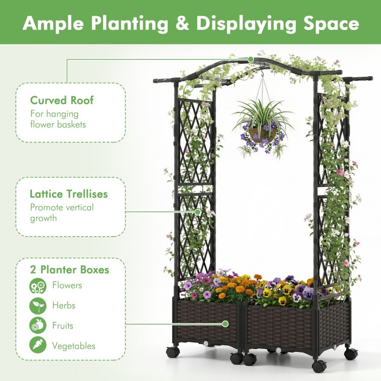 5 FT self-watering planter box with lattice trellis and curved roof, ideal for vibrant plant growth on patios or.
