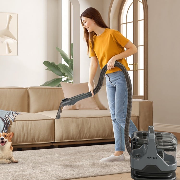 Upholstery cleaner machine in gray with hose, designed for deep cleaning couches, carpets, and pet messes.