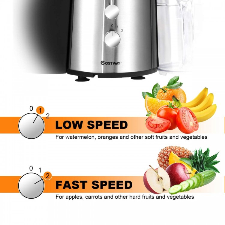 2 Speed Electric Juice Press with stainless steel design, featuring low and fast speed settings for efficient juicing.