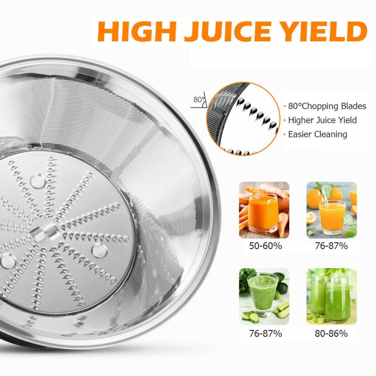 Close-up of the Centrifugal Juicer's stainless steel filter, showcasing high juice yield and easy cleaning features.