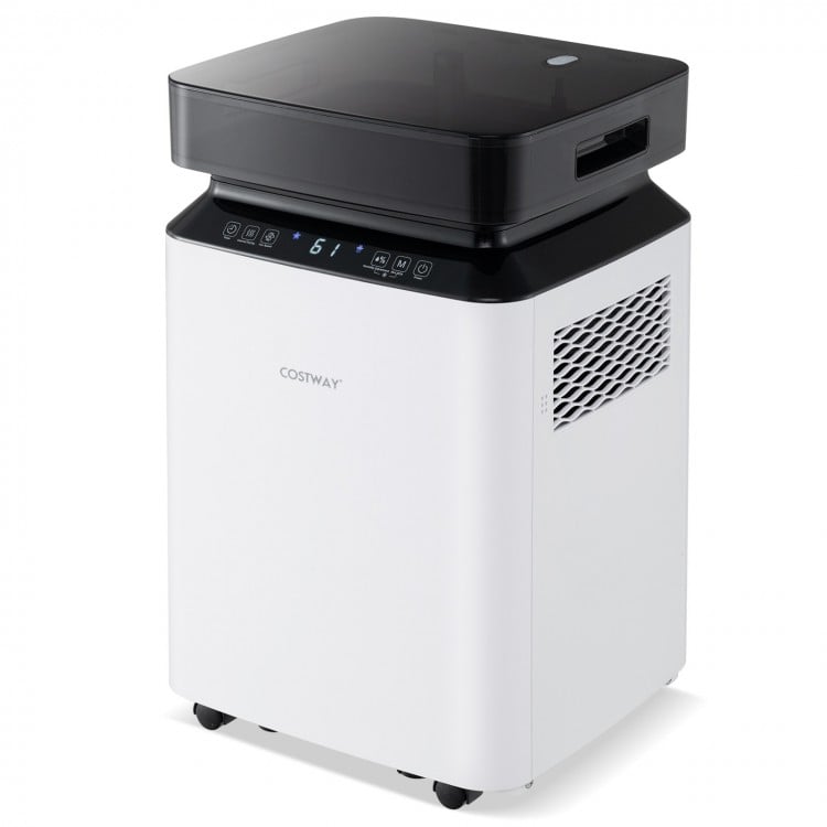 70-pint dehumidifier with LED display, adjustable humidity, and 4 wheels for easy mobility in home or basement use.