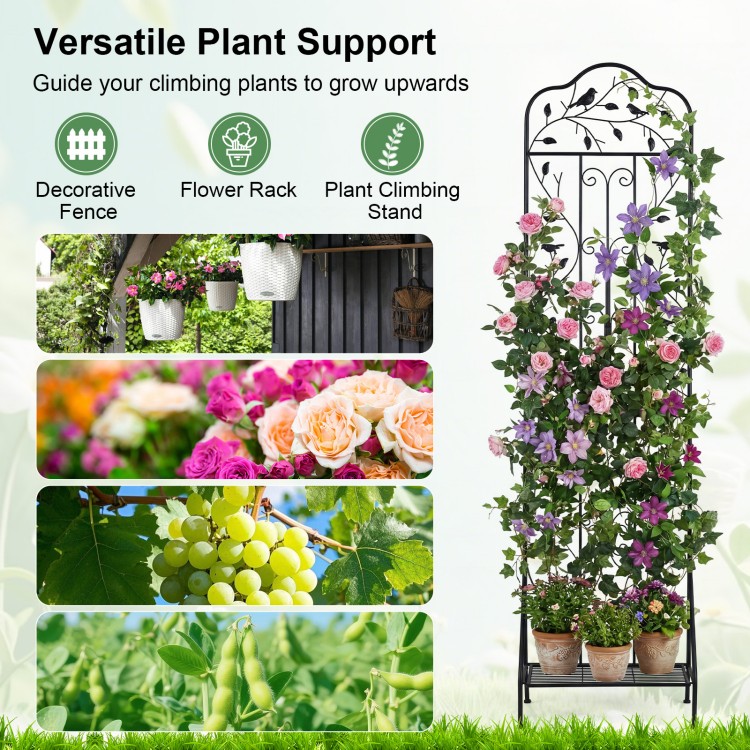 Outdoor metal garden trellis with elegant design, foldable bottom shelf, ideal for climbing plants and space-saving organization.