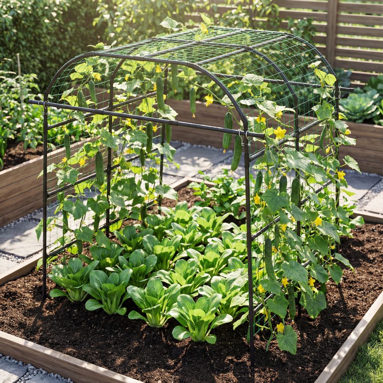 Tall black metal garden arch trellis supporting climbing plants, designed for outdoor use and promoting healthy growth.