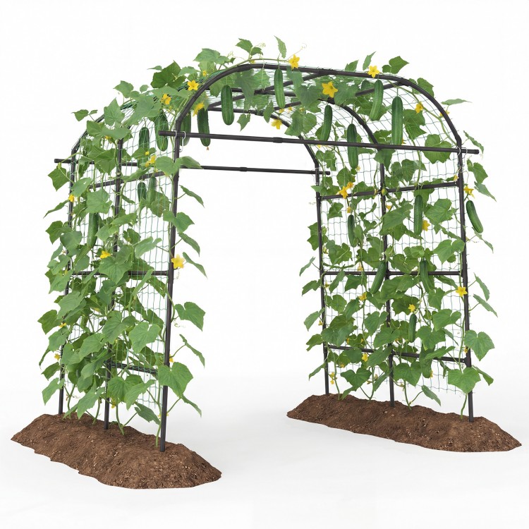 Tall black metal garden arch trellis for climbing plants, offering vertical support and ample space for healthy growth.