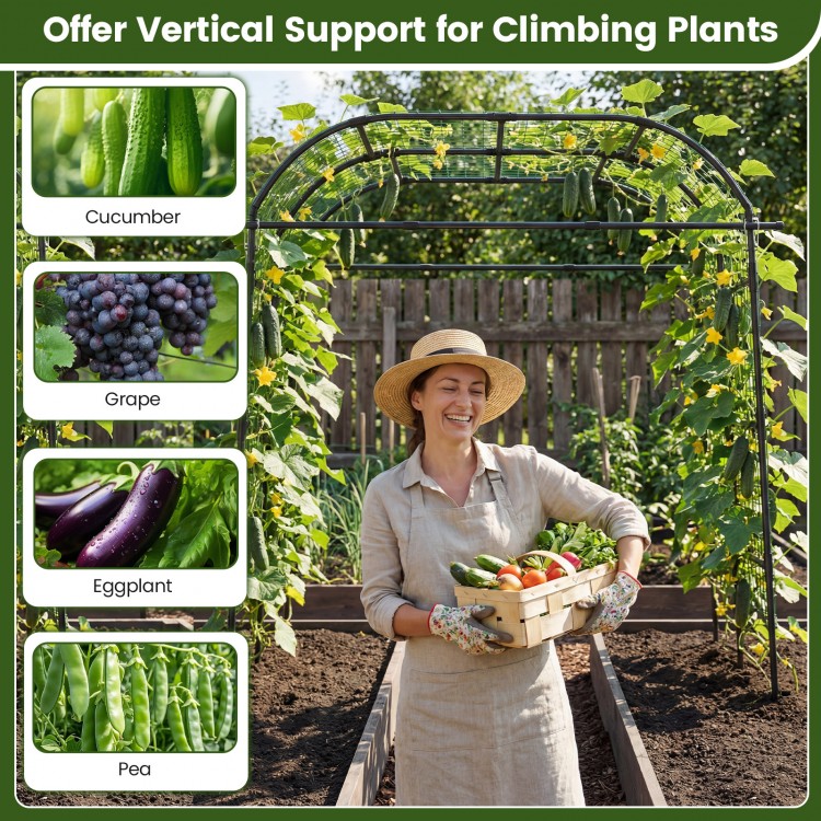 7.5 FT tall black metal garden arch trellis providing vertical support for climbing plants, enhancing garden aesthetics.