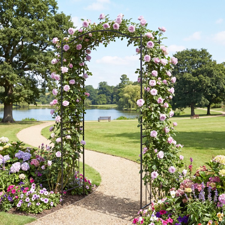 Garden arbor trellis with curved roof, supporting climbing roses, ideal for outdoor events and garden entrances.
