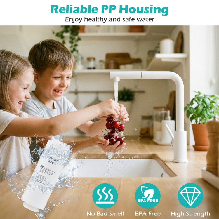 800 GPD replacement RO filter with BPA-free PP housing, designed for AW-RB20/AW-RB05 systems, ensuring safe water.