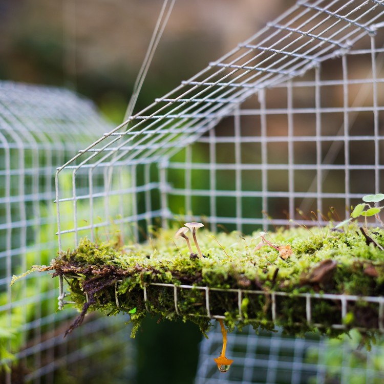 Galvanized hardware cloth roll with 1/4" mesh holes, ideal for protecting gardens and securing pet cages.
