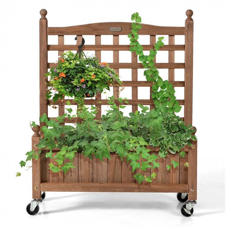 Wood planter box with trellis for climbing plants, made of durable fir wood, featuring a spacious 6.5'' planting bed.