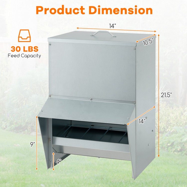 Wall mount galvanized chicken feeder with 50 lbs capacity, featuring a semi-enclosed trough and openable lid for easy.
