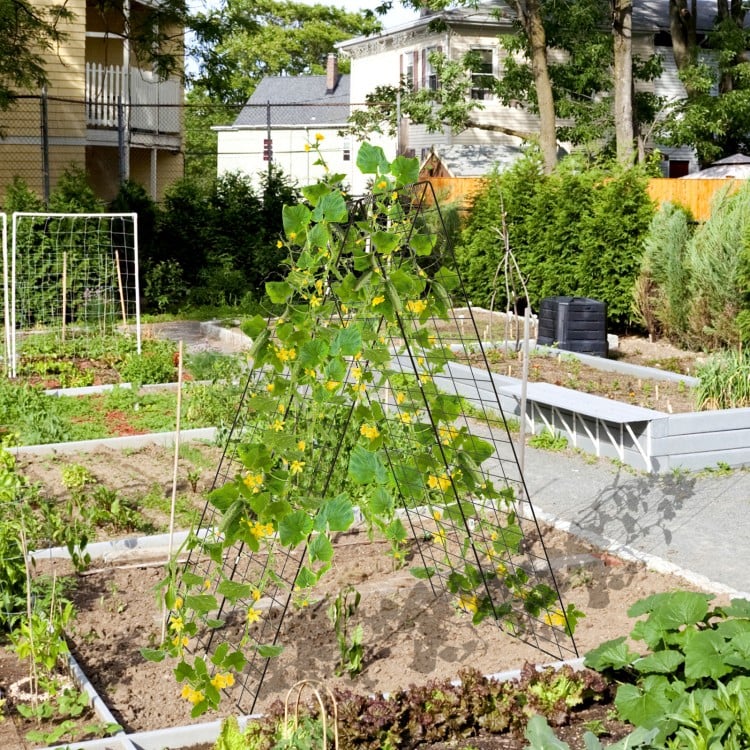 A-Frame garden trellis in green for climbing plants, featuring durable steel construction and adjustable height for.