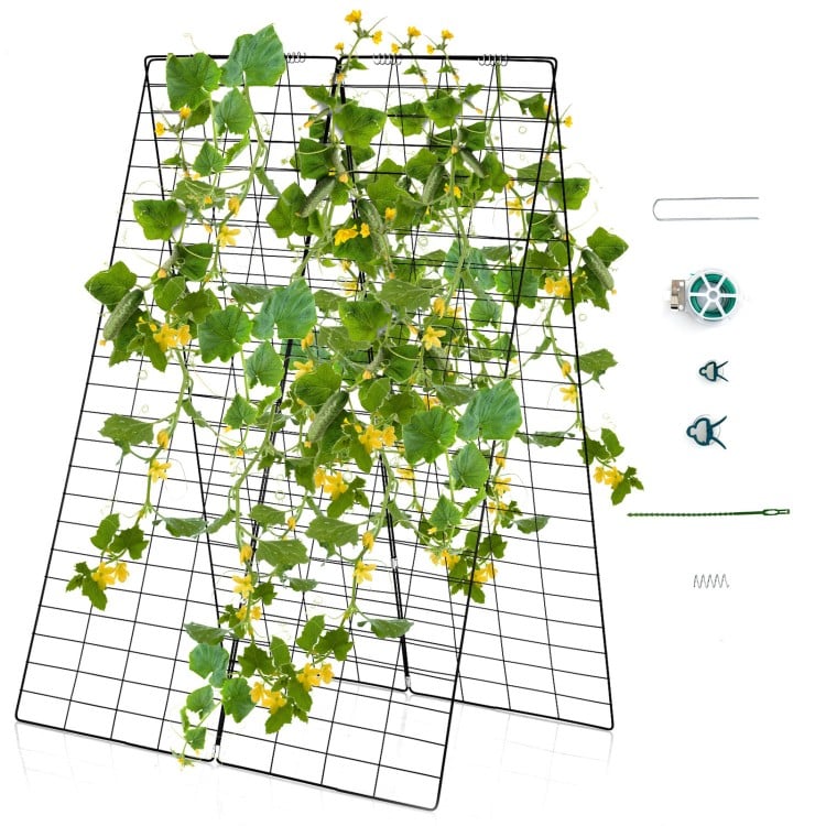 A-Frame garden trellis made of rust-resistant steel, ideal for climbing plants, featuring ground stakes and cable ties.
