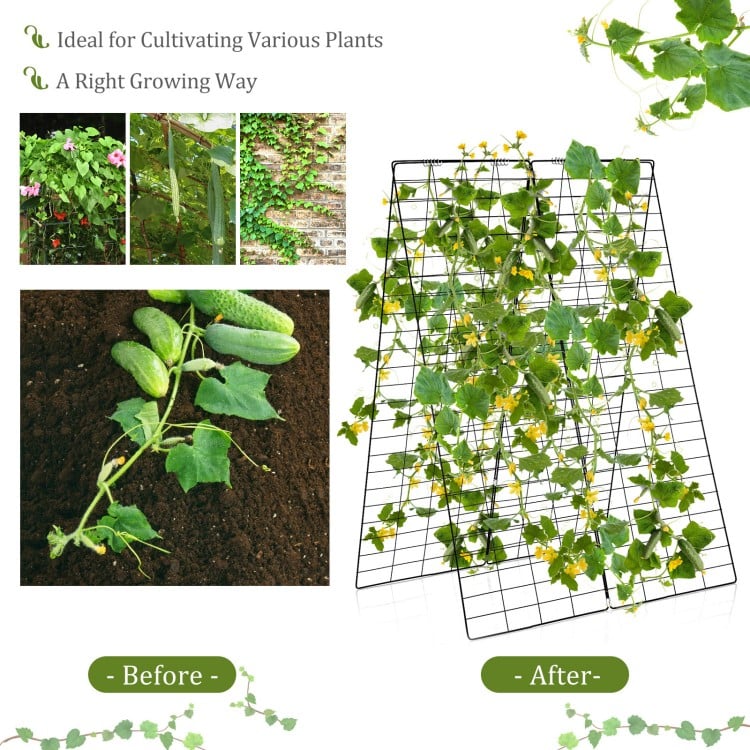 A-Frame garden trellis in green for climbing plants, showcasing before-and-after growth with adjustable height and.
