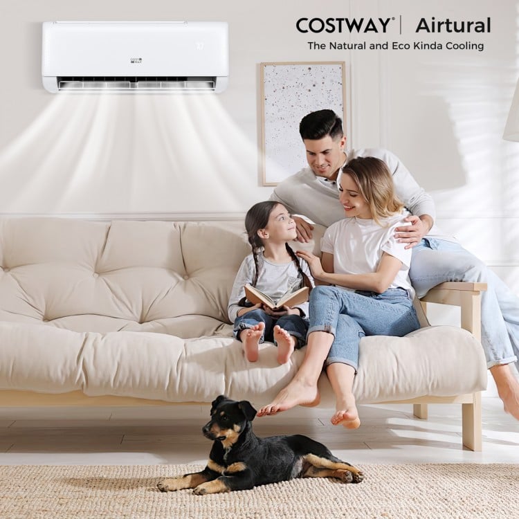 Ductless mini split air conditioner and heater in a living room, providing efficient cooling for year-round comfort.