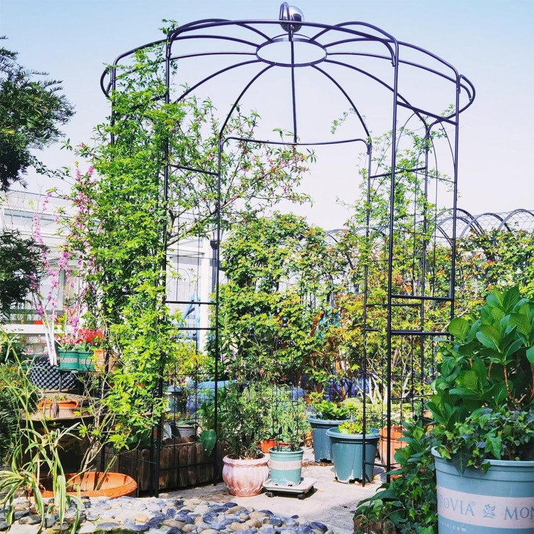 Birdcage shape gazebo made of galvanized metal, ideal for climbing plants and wedding decoration in a garden setting.