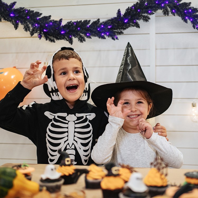 Black Halloween garland with 50 purple LED lights, perfect for festive decoration and creating a spooky atmosphere.