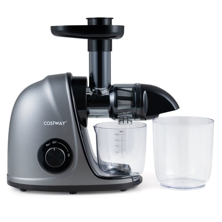 Cold press juicer machine in silver with 2-speed modes, 24 oz juice jug, and 34 oz pulp container for efficient juicing.