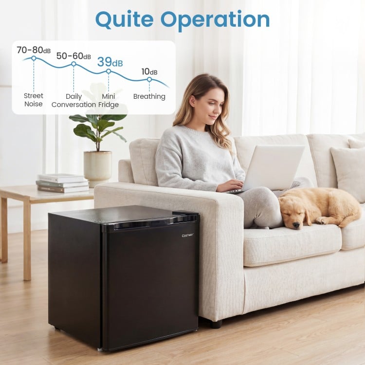 Compact mini fridge in black with adjustable thermostat, whisper-quiet 39 dB operation, perfect for bedrooms and.
