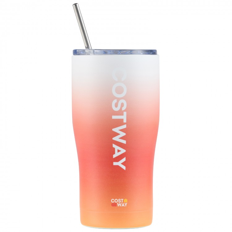 Costway stainless steel tumbler with lid and metal straw in an ombre design, ideal for hot and cold beverages on the go.
