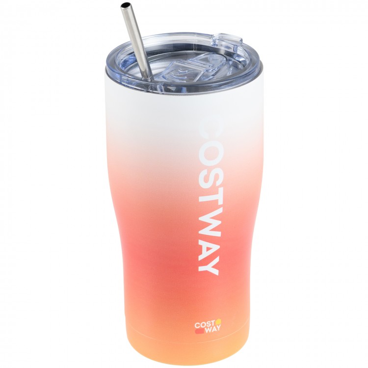 Costway stainless steel tumbler with lid and metal straw in an ombre design, perfect for work commutes and drinks on.