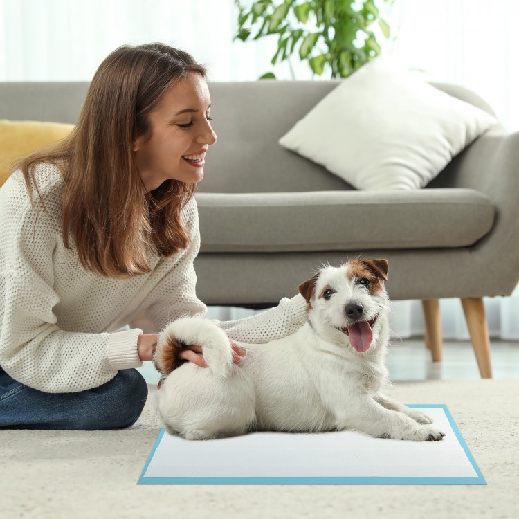Dog and puppy pee pads 24" x 17" with 5-layer design for maximum absorption, ideal for potty training and easy cleanup.