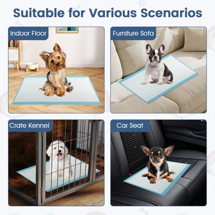 Dog and puppy pee pads 24" x 17" in blue, designed for potty training with maximum absorption and leak protection.