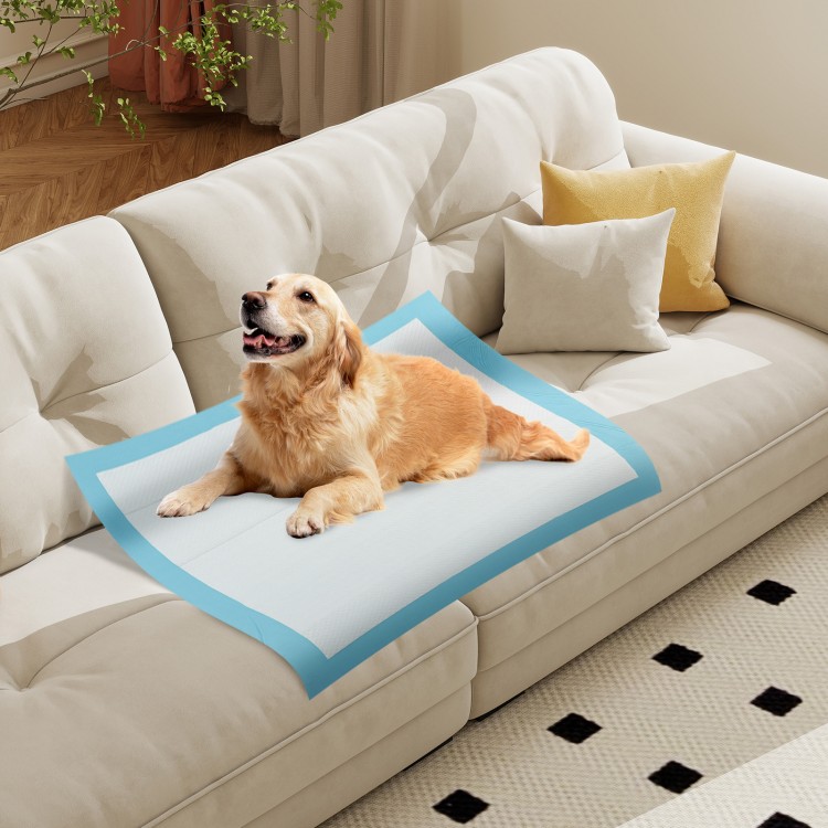 Dog and puppy pee pads in blue, 36" x 36", featuring a 5-layer design for maximum absorption and leak protection.