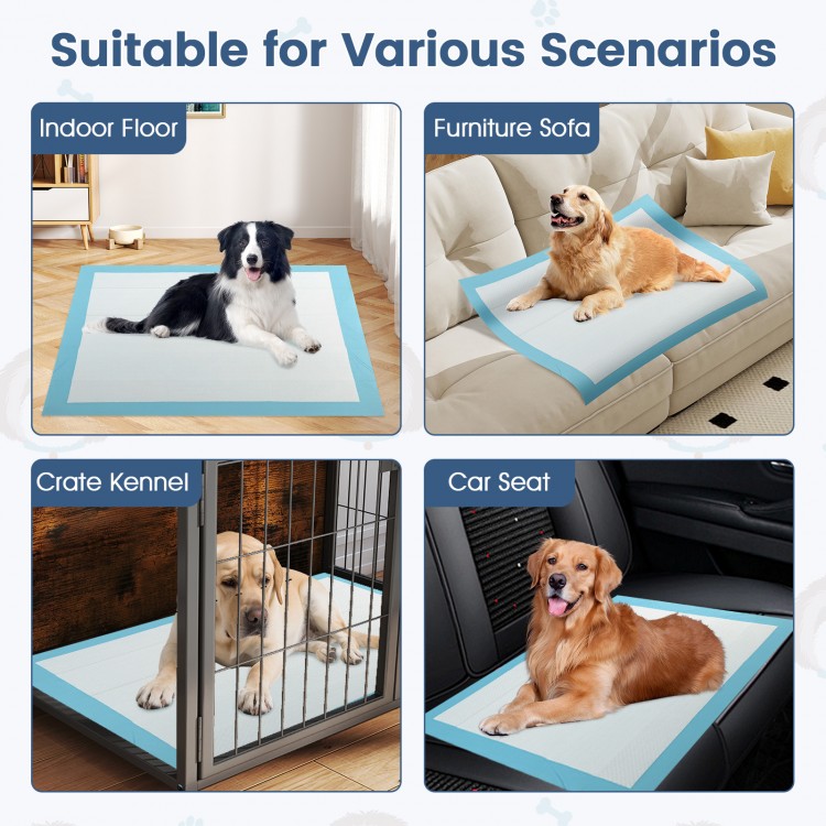 Dog and puppy pee pads 36" x 36" in blue, designed for maximum absorption and leak protection for various surfaces.