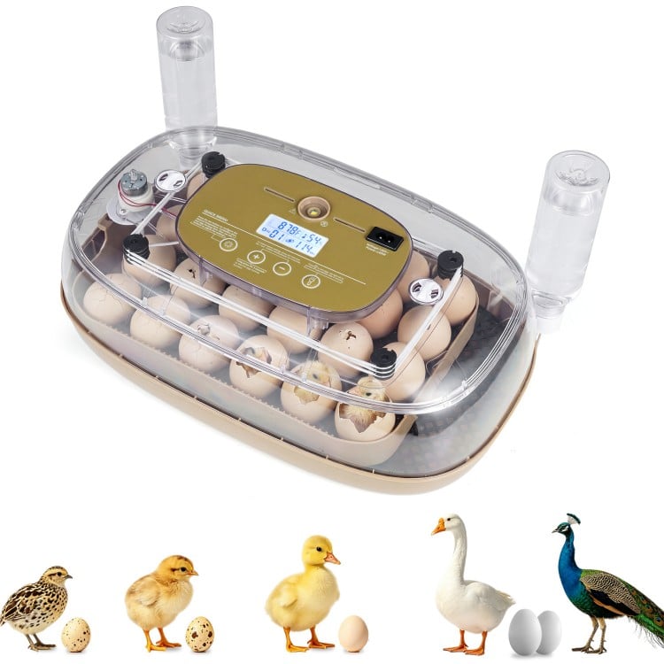Egg incubator with temperature and humidity control, holding up to 21 chicken eggs for optimal hatching conditions.