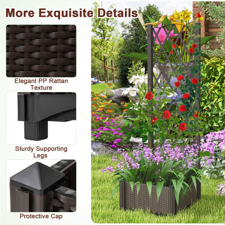 Raised garden bed with trellis, made of durable PP material, ideal for climbing plants and enhancing garden aesthetics.