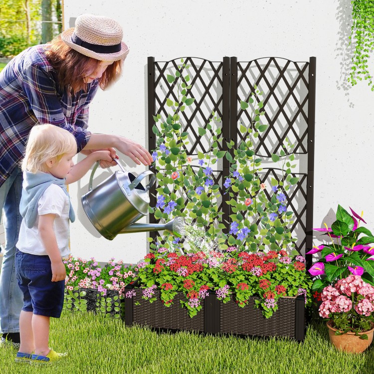 Raised garden bed with trellis for climbing plants, featuring a self-watering system, ideal for flowers and vegetables.