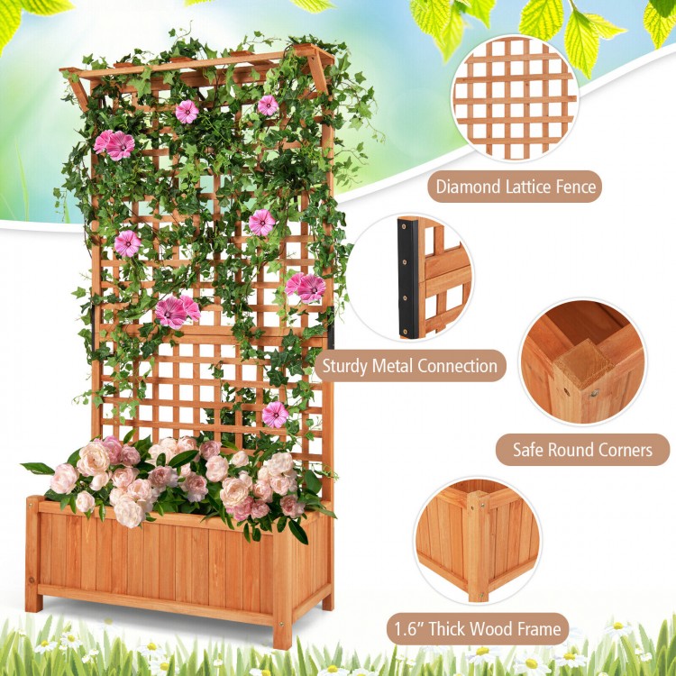 Raised garden bed with trellis and hanging roof, made of natural fir wood, ideal for climbing plants and decor.