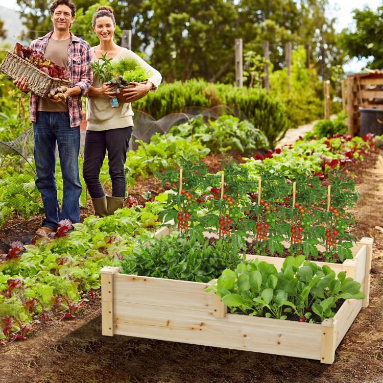 3-tier wooden raised garden bed in natural fir, designed for healthy plant growth in gardens or backyards.