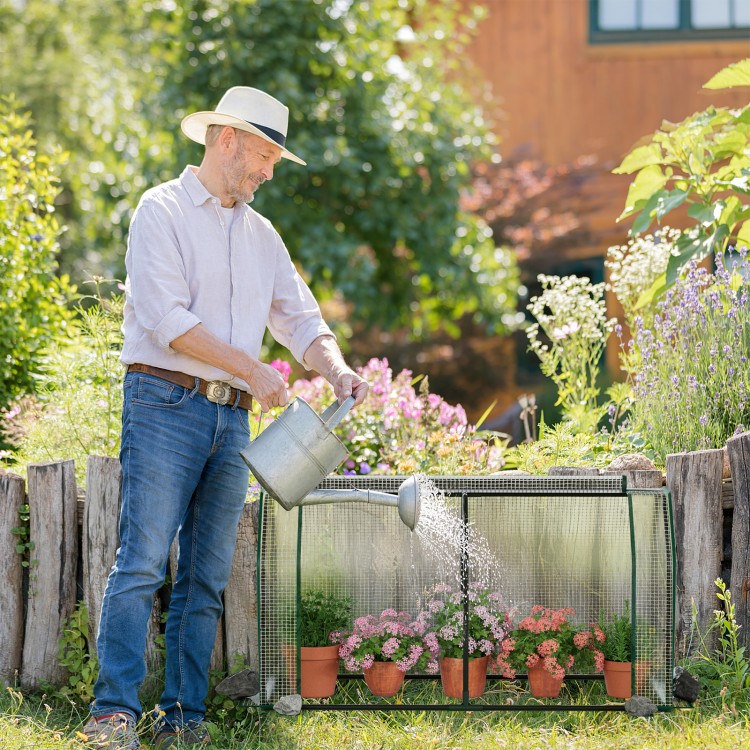Mini greenhouse with roll-up zipper door, sturdy metal frame, and PE cover, ideal for protecting plants in any season.