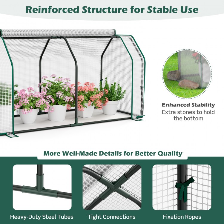 Mini greenhouse with reinforced structure, heavy-duty steel tubes, and roll-up zipper door for stability and weather.