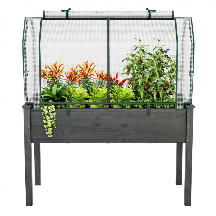 Mini greenhouse with roll-up zipper door, sturdy powder-coated frame, and PE cover for sun protection and weather.