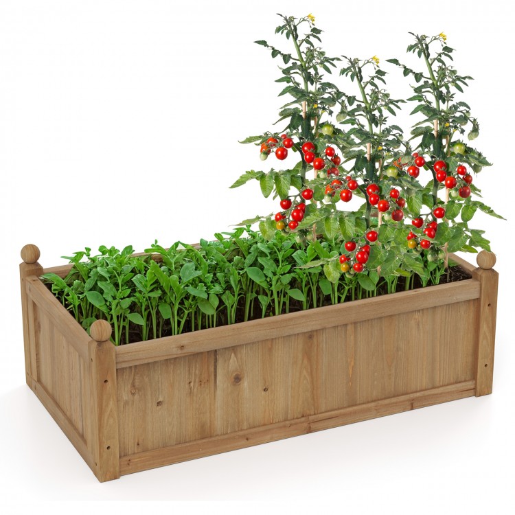 Rectangular brown planter box made of natural fir wood, featuring tomatoes and leafy greens, ideal for backyard gardens.