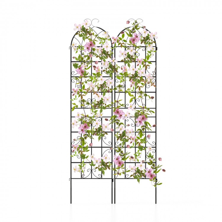 2 Pack Metal Garden Trellis Decorative for Climbing Plants - Gallery View 1 of 10